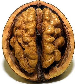 Pecan